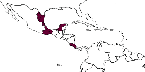 map of Diradops hyphantriae     Kasparyan & Pinson, 2007